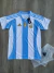 CAMISETA SELECCION ARGENTINA 2024 en internet