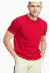 Camisa básica Adulto Tommy Hilfiger Vermelha