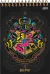 CADERNO ESPIRAL HARRY POTTER 80 FOLHAS na internet