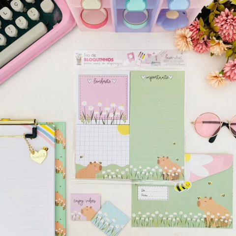 TRIO DE BLOQUINHOS COM 40 FOLHAS - CAPIVARAS