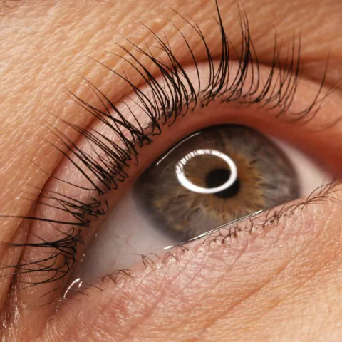 LIFTING DE PESTAÑAS + BOTOX + LAMINADO DE CEJAS