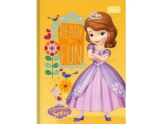 CADERNO PEQUENO BROCHURA 1/4 48 F SOFIA CP SORTIDAS - comprar online