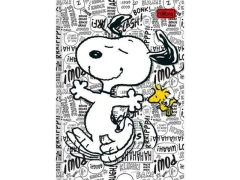 CADERNO BROCHURAO 96F SNOOPY CAPA SORTIDAS - Papelaria Visão