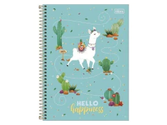CADERNO DE 10 MATERIAS 160F HELLO CAPA SORTIDAS na internet