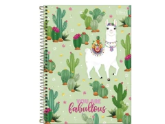 CADERNO DE 10 MATERIAS 160F HELLO CAPA SORTIDAS - loja online