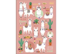 CADERNO BROCHURAO CD 80FLS HELLO CP SORTIDAS - loja online