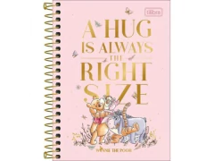 CADERNETA ESPIRAL PEQUENA 1/8 POOH CAPA DURA 80FLS CAPA SORTIDA