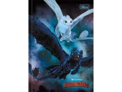 CADERNO BROCHURAO 80F DRAGAO CAPA SORTIDAS na internet