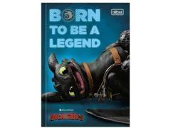 CADERNO BROCHURAO 80F DRAGAO CAPA SORTIDAS - Papelaria Visão