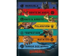 CADERNO BROCHURAO 80F DRAGAO CAPA SORTIDAS - loja online