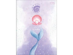 Imagem do CADERNO BROCHURAO 80F WONDER CAPA SORTIDAS