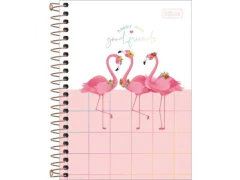 CADERNETA ESPIRAL CD 1/8 ALOHA 80FLS CAPAS SORTIDAS na internet