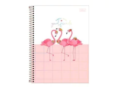 CADERNO COLEGIAL ALOHA 10 MATERIAS 160FLS na internet