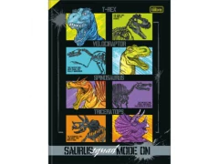 CADERNO BROCHURAO CD 80FLS RAPTOR CP SORTIDAS - Papelaria Visão