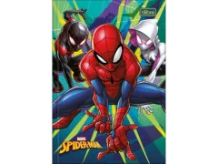 CADERNO BROCHURA PEQUENO 1/4 CAPA DURA SPIDER MAN 80FLS - loja online
