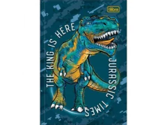 CADERNO CD BROCHURA PEQUENO 1/4 RAPTOR 80FLS CP SORTIDAS - comprar online