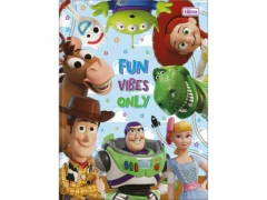 CADERNO BROCHURAO CD 80FLS TOY STORY - comprar online