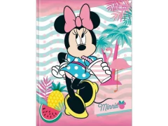 CADERNO BROCHURAO 96F CD MINNIE - loja online