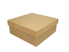 CAIXA SAPATO 20X25X8 804 na internet