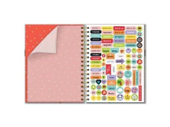 CADERNO COLEGIAL 200 FLS. PASSAROS CAPA SORTIDAS na internet