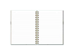 CADERNO COLEGIAL 200 FLS. PASSAROS CAPA SORTIDAS - loja online