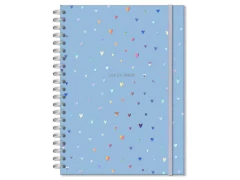 CADERNO UNIVERSITARIO 96 FLS. CORACOES HOLOGRAFICOS na internet
