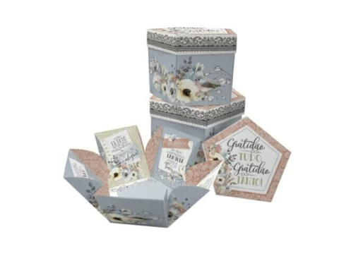 CAIXA EXPLOSIVA GRATIDAO C917- TAM M - comprar online