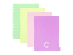 DIVISORIAS PARA CADERNO INTELIGENTE GRANDE PASTEL