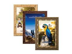 PORTA RETRATO 10X15 FM 2CM ACETATO E GRAVATA - comprar online