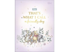 CADERNO BROCHURAO POOH 80F CAPA DURA na internet