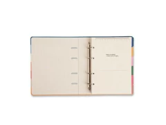 FICHARIO CADERNO CRIATIVO ORGANIZADOR ARGOLADO ORLA PAUTADO 17X24 ARPOADOR LISTRAS na internet