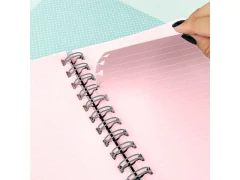 CADERNO SMART VISION 10 DIVISORIAS 80 FOLHAS TIRA E POE DAC - Papelaria Visão