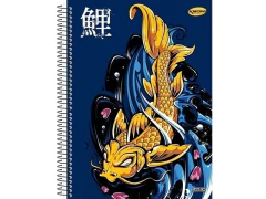 CADERNO DE 15 MATERIAS 300F KBOM MASCULINO CD - Papelaria Visão