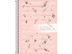 CADERNO DE MUSICA CD UNIVERSITARIO 80FLS - Papelaria Visão