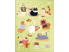 CADERNO BROCHURAO FEM 20X27,50 UNIV HUG ME 80FLS CAPA SORTIDA