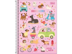 CADERNO DE 10 MATERIAS FEMININO HUG ME 160FLS CAPAS SORTIDAS - Papelaria Visão
