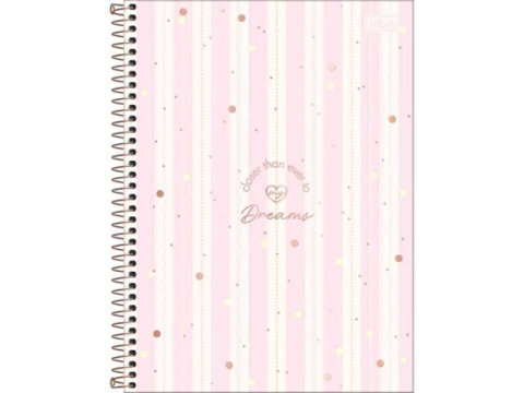 CADERNO DE 10 MATERIAS FEM CAPA DURA SORTIDAS SOHO 160FLS