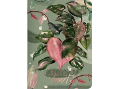 CADERNETA GRAMPEADA FX 1/8 NATURALIS 32FLS CAPAS SORTIDAS - Papelaria Visão