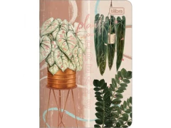 CADERNETA GRAMPEADA FX 1/8 NATURALIS 32FLS CAPAS SORTIDAS - loja online