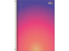 CADERNO DE 1 MATERIA CD UNIV GREAT 80FLS - comprar online