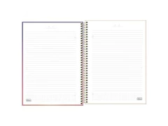 CADERNO DE 1 MATERIA CD UNIV GREAT 80FLS