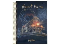 CADERNO DE 1 MATERIA ESPIRAL UNIV CD 96FLS HARRY POTTER - Papelaria Visão