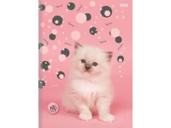 CADERNO BROCHURA PEQUENO CD 1/4 MY PETS 80FLS na internet