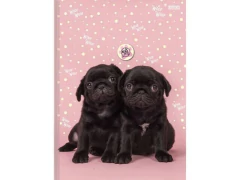 CADERNO BROCHURA PEQUENO CD 1/4 MY PETS 80FLS - Papelaria Visão