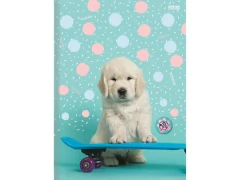 CADERNO BROCHURA PEQUENO CD 1/4 MY PETS 80FLS