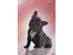 CADERNO BROCHURAO MY PETS 80 FOLHAS CAPA DURA - comprar online