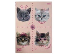 CADERNO BROCHURAO MY PETS 80 FOLHAS CAPA DURA - loja online