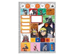 CADERNO DE 10 MATERIAS NARUTO 240FLS CD