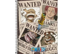 CADERNO DE 01 MATERIA ONE PIEC 80FLS CAPAS SORTIDAS