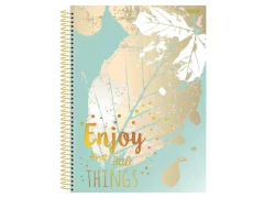 CADERNO DE 10 MATERIAS 160 FOLHAS MULHER na internet